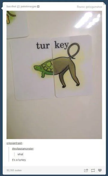 Image posted by the member