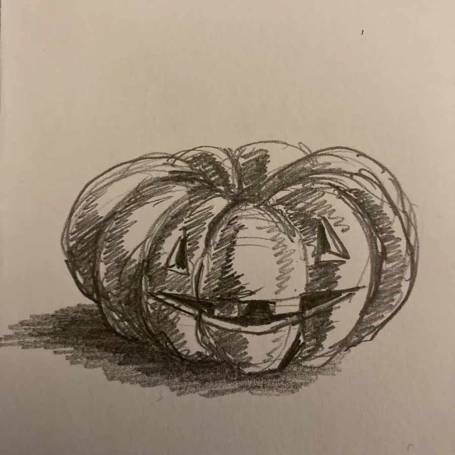 Image posted by the member