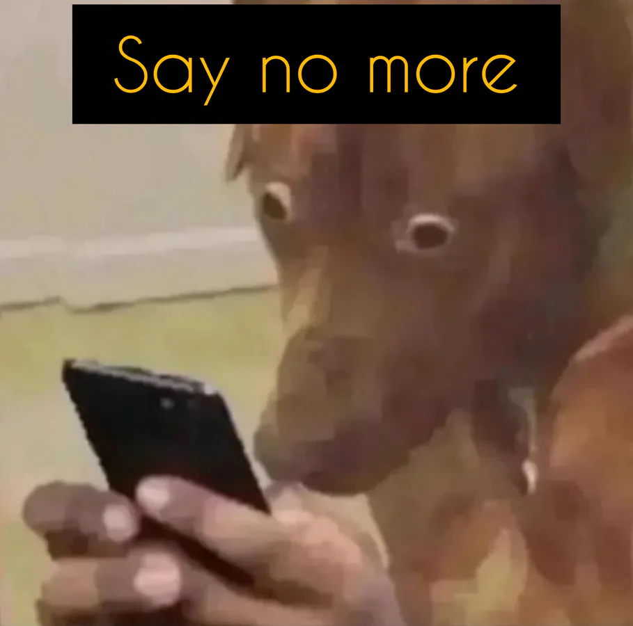 Image posted by the member