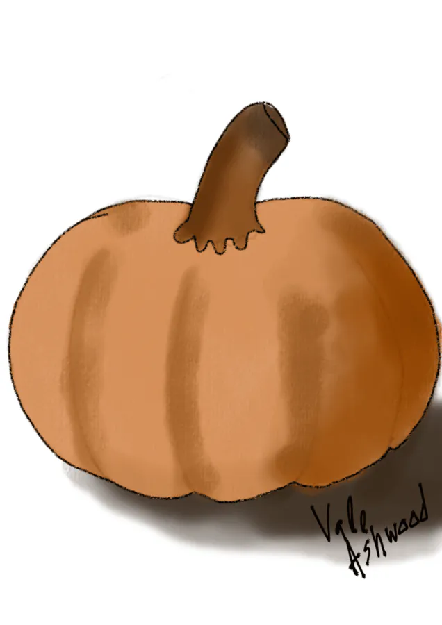Image posted by the member