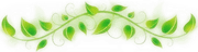 Image posted by the member