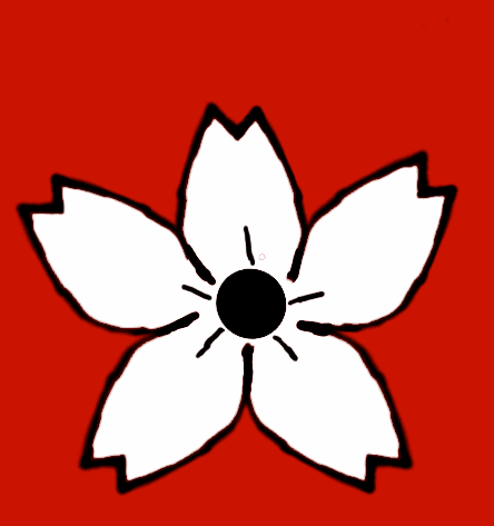 Image posted by the member