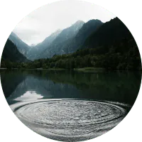 Image posted by the member