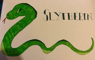 Image posted by the member