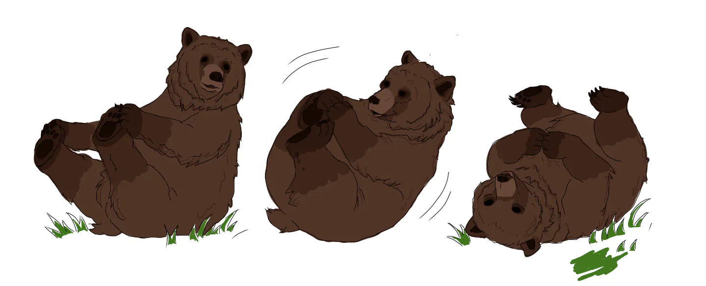 bear drawing