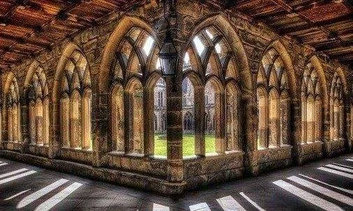 Image posted by the member