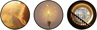 Image posted by the member