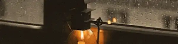 Image posted by the member