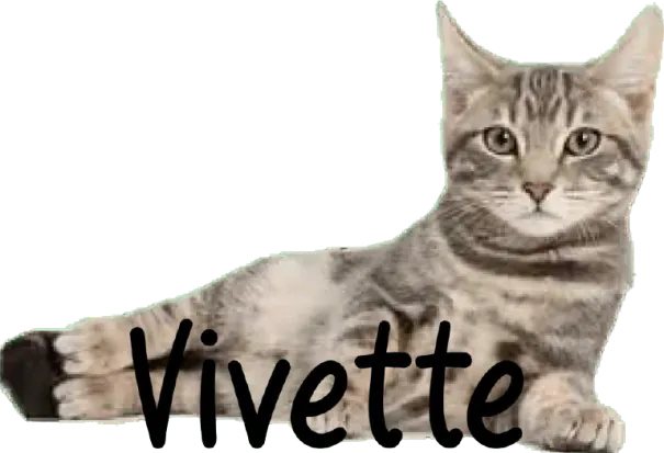 Image posted by the member