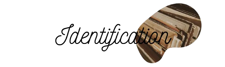 Image posted by the member
