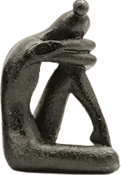 Image posted by the member