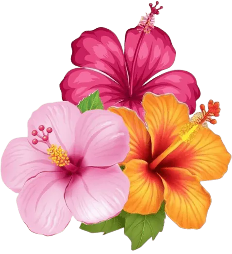 Image posted by the member