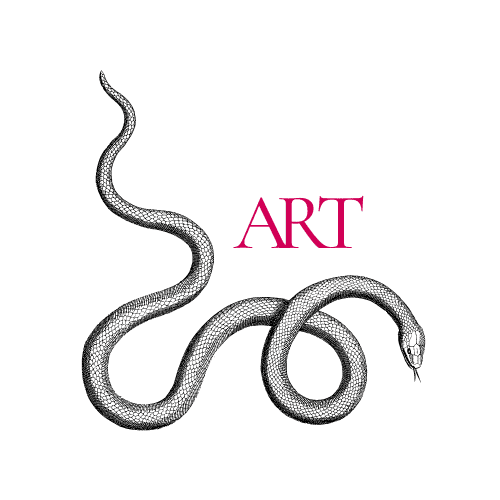 Image posted by the member