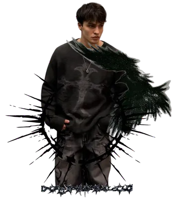 Image posted by the member