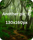 Image posted by the member
