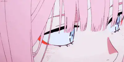 Image posted by the member