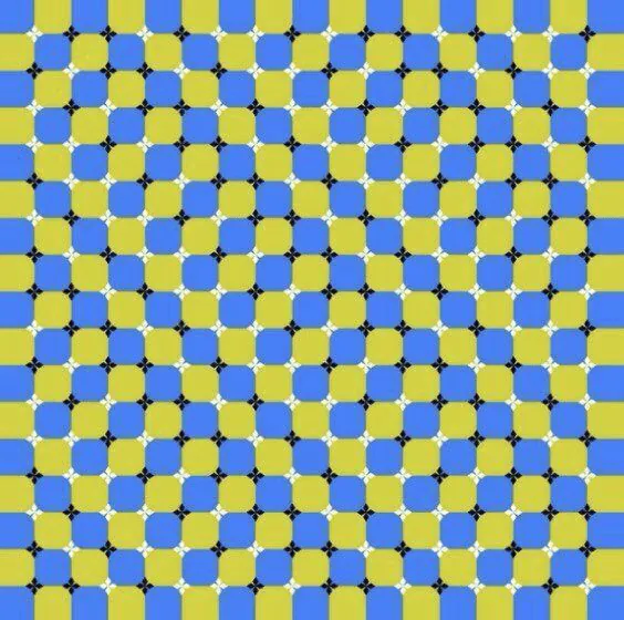 Image posted by the member