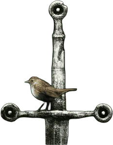 Image posted by the member