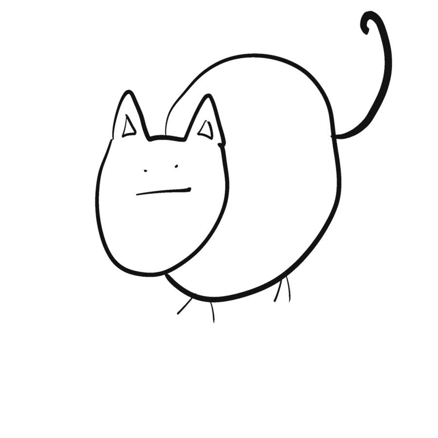 Image posted by the member