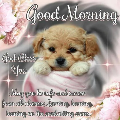 Image posted by the member