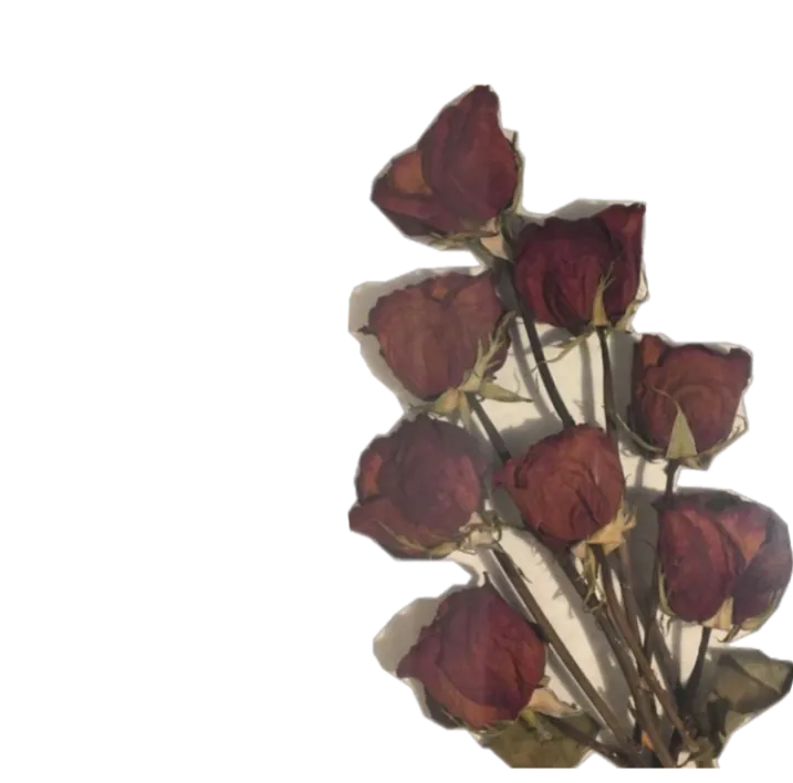Image posted by the member
