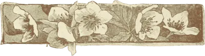 Image posted by the member