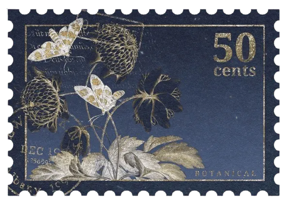 Image posted by the member