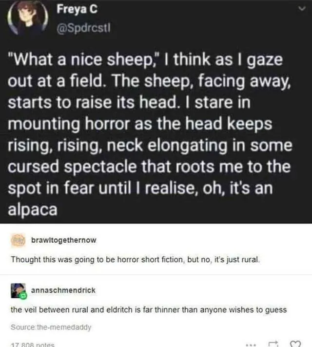 Image posted by the member