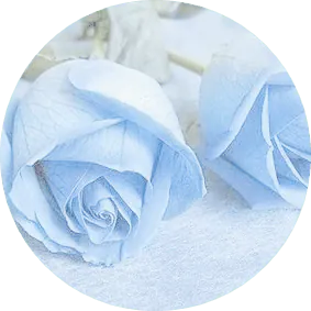 Image posted by the member