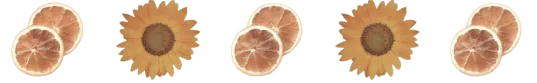 Image posted by the member