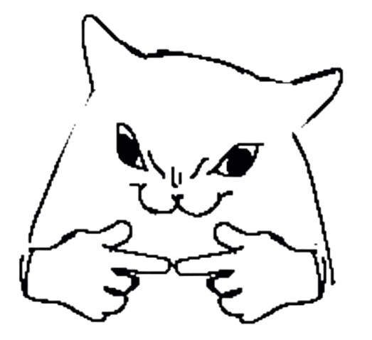 Image posted by the member