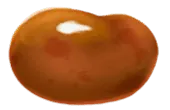 Image posted by the member