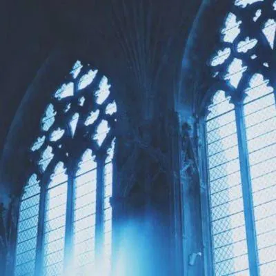 Image posted by the member