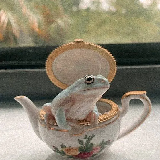 Image posted by the member