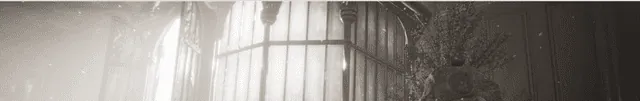 Image posted by the member