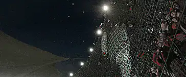 Image posted by the member