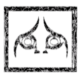 Image posted by the member