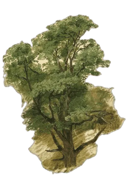 Image posted by the member