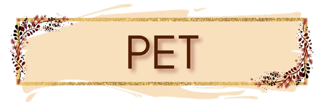Image posted by the member