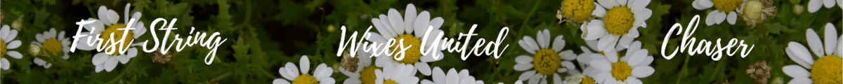 Image posted by the member