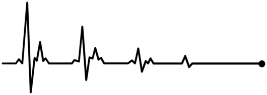 Image posted by the member