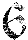 Image posted by the member