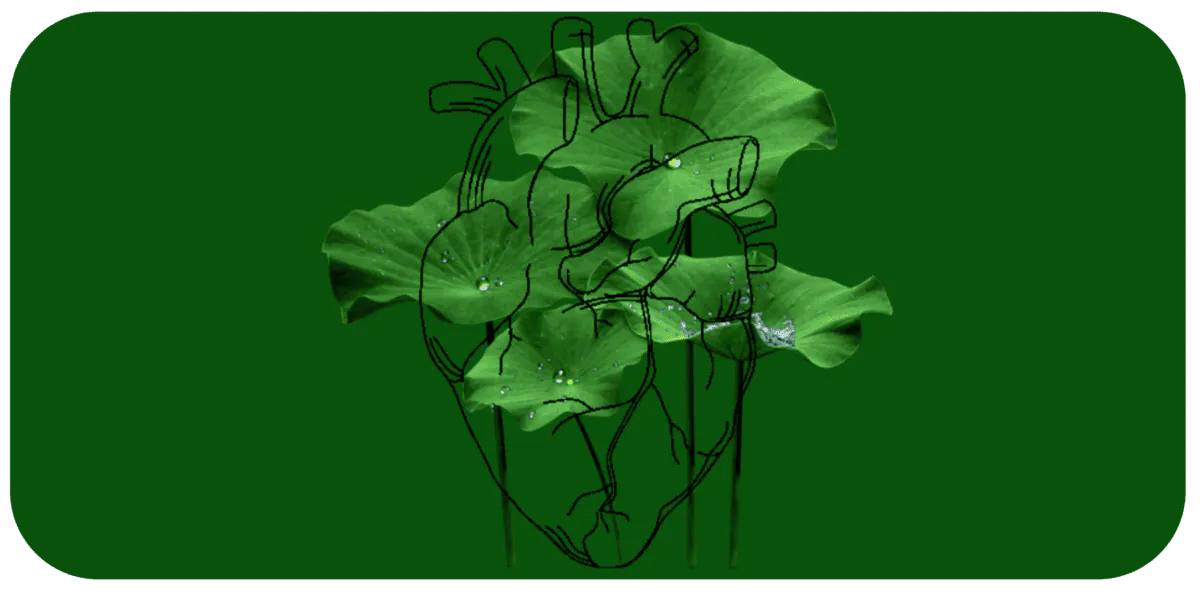 Image posted by the member