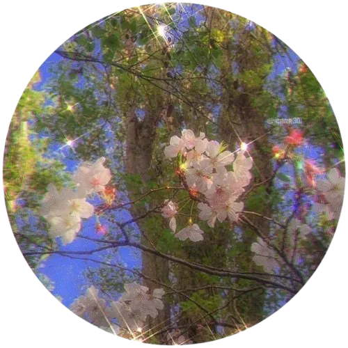 Image posted by the member