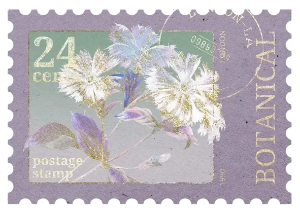 Image posted by the member