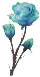 Enchanted Rose