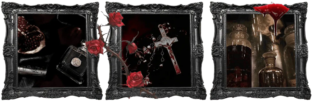 Image posted by the member