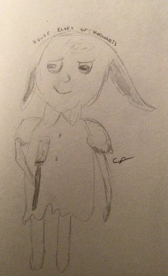 Image posted by the member