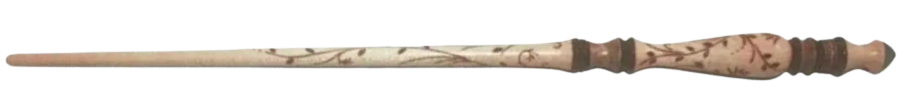 Image posted by the member