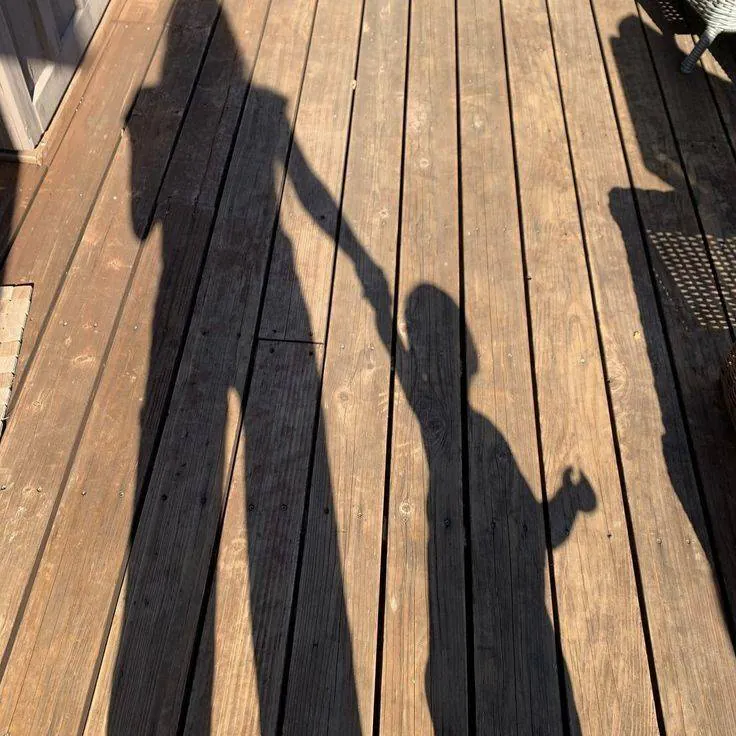 Image posted by the member